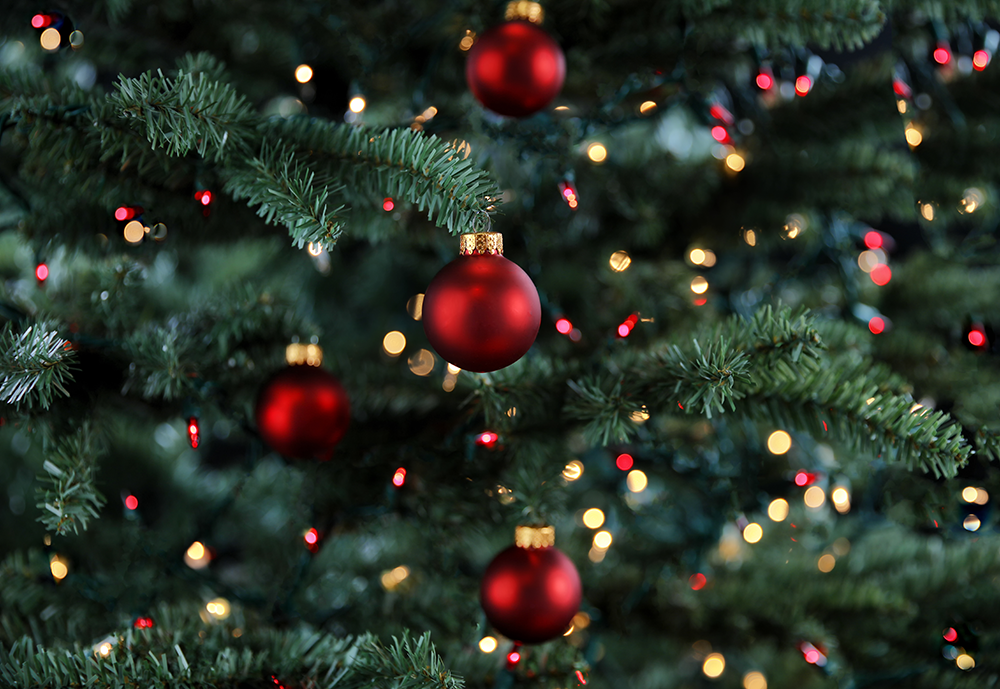 Faire vivre la magie - Arbre de Noël Entreprise et CE